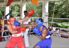 How I learnt Boxing in NDA ?